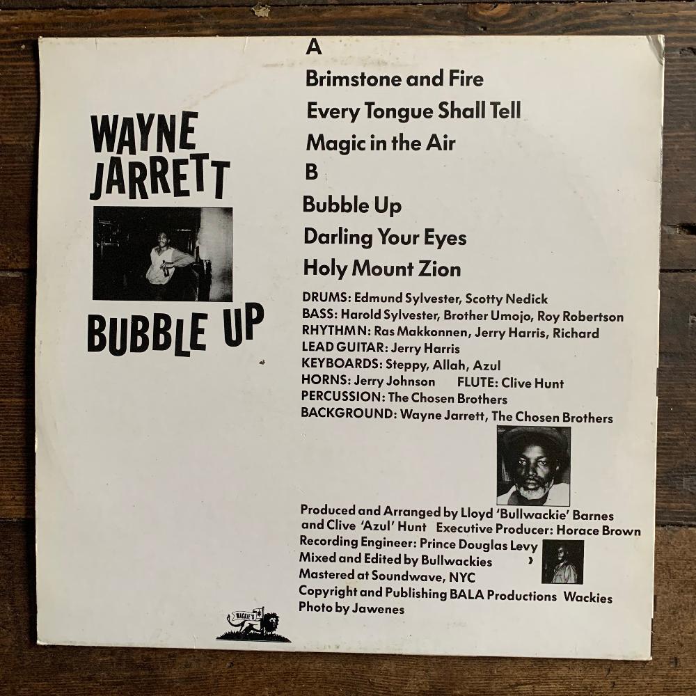 Wayne Jarrett - Bubble Up