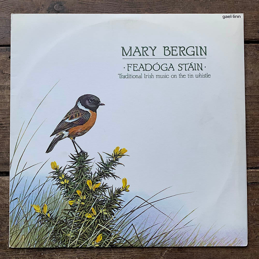 Mary Bergin - Feadoga Stain